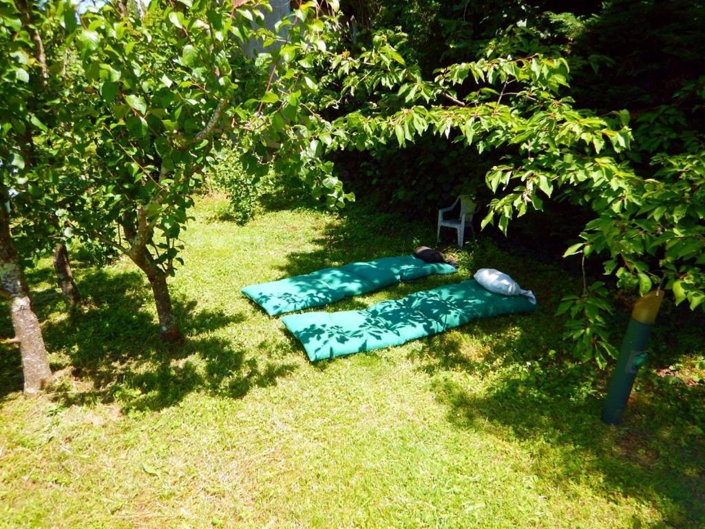 80 M2 Independant 4 Personnes Direct Gare Ou Aeroport Jardin Piscine Διαμέρισμα Τουλούζη Εξωτερικό φωτογραφία